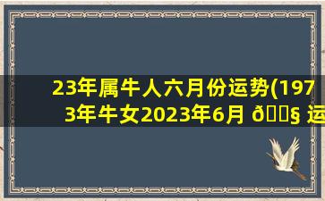 23年属牛人六月份运势(1973年牛女2023年6月 🐧 运势)